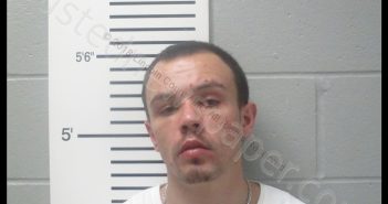 DILLAN JAMES RICHARDET | 2018-11-05 19:46:00 Lincoln County, Missouri Booking