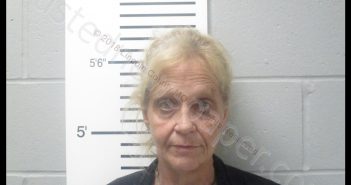 DEBORAH ESTELLE UELTZEN | 2018-11-05 20:29:00 Lincoln County, Missouri Booking