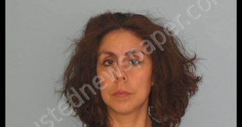 VASQUEZ, CYNTHIA SALGADO | 2018-11-05 Andrews County, Texas Booking