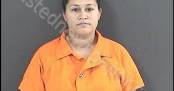 NIEVES, MARITZA | 2018-11-06 19:26:00 Roanoke County, Virginia Booking