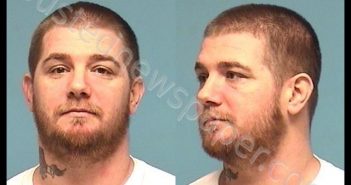 BRITTON, ROBERT E | 2018-11-06 16:06:00 Lorain County, Ohio Booking