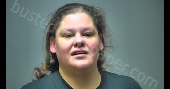 MELISSA MARIE FLORY | 2018-11-07 22:14:00 Isabella County, Michigan Booking