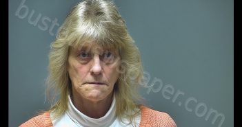 KAREN ANN SALES | 2018-11-07 15:41:00 Isabella County, Michigan Booking