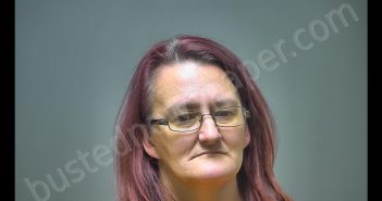 JODI LYN COMSTOCK | 2018-11-07 21:44:00 Isabella County, Michigan Booking