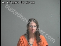 SHARP PATRICIA | 2018-11-07 Sandusky County, Ohio Booking