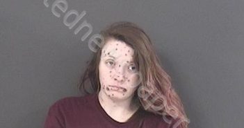 DONAHUE, BRIANA LYNN | 2018-11-07 16:01:00 Roanoke County, Virginia Booking