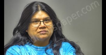 NINA MARIE FRANCIS | 2018-11-07 02:47:00 Isabella County, Michigan Booking