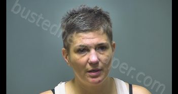 SARA JANE BARZ | 2018-11-07 18:59:00 Isabella County, Michigan Booking