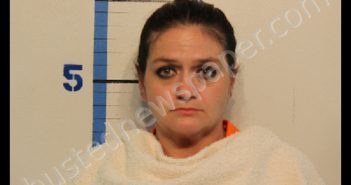 <B>PERKINS</B>, LISA <B>MICHEAL</B> #, Rockwall County, Texas - 2018-11-08 00:37:00