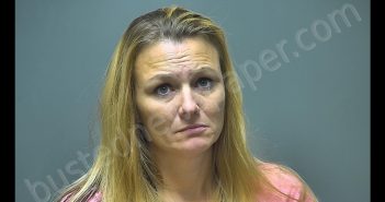 RYANE MICHELLE LOOMIS | 2018-11-08 09:27:00 Isabella County, Michigan Booking