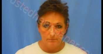 LISA MARIE DAUGHERTY | 2018-11-08 02:59:00 Henry County, Missouri Booking