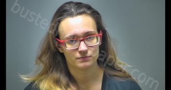 TORI MARIE SOLMONSON | 2018-11-08 11:33:00 Isabella County, Michigan Booking