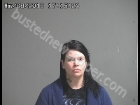 GIBSON LISA K | 2018-11-08 Sandusky County, Ohio Booking