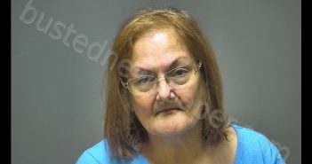 GUADALUPE GONZALES REYES | 2018-11-08 09:11:00 Isabella County, Michigan Booking