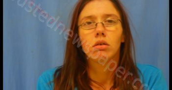 ANNA STINE | 2018-11-08 02:08:00 Henry County, Missouri Booking
