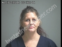 ANDREWS CHELSI D | 2018-11-09 Sandusky County, Ohio Booking