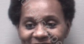 COLLINS, MADEANA ANN | 2018-11-09 New Hanover County, North Carolina Booking
