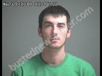 LEWIS DALTON H | 2018-11-09 Sandusky County, Ohio Booking