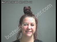TARASCHKE SHELBY L | 2018-11-09 Sandusky County, Ohio Booking