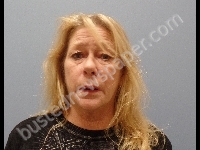 LANGHALS KELLI EILEEN | 2018-11-09 Erie County, Ohio Booking