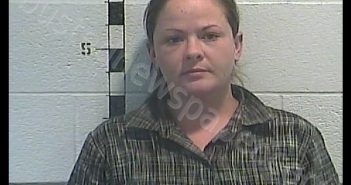 JENNIFER ANN TRAVIS | 2018-11-10 06:29:00 Shelby County, Kentucky Booking