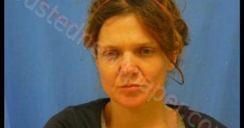 TERESSA LEE SMITH | 2018-11-10 15:15:00 Henry County, Missouri Booking