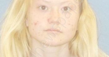 STRNAD,SIMONA MICHAELA | 2018-11-10 15:08:00 Pulaski County, Arkansas Booking