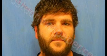 ANDREW MICHAEL MORROW | 2018-11-10 00:10:00 Henry County, Missouri Booking