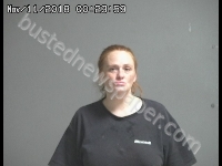 BURROWS AMY J | 2018-11-10 Sandusky County, Ohio Booking