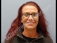 LANE LEILANI L | 2018-11-10 Erie County, Ohio Booking