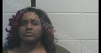 WHITNEY TONEISHA WALKER | 2018-11-10 09:32:00 Shelby County, Kentucky Booking