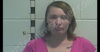 ASHLEY FAYE CUNNINGHAM | 2018-11-11 06:47:00 Shelby County, Kentucky Booking