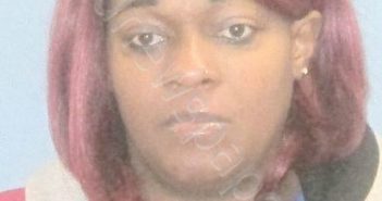 THORNTON,ANGELA ARLENE | 2018-11-11 07:09:00 Pulaski County, Arkansas Booking