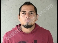 ALLENDE DANIEL OLVERA | 2018-11-11 Gratiot County, Michigan Booking