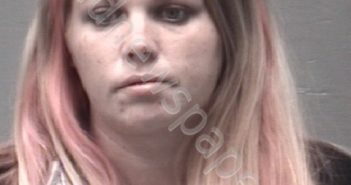 LAWSON, AMY DARLENE | 2018-11-11 New Hanover County, North Carolina Booking