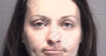 NEMETH, STACEY ELAYNE | 2018-11-11 New Hanover County, North Carolina Booking