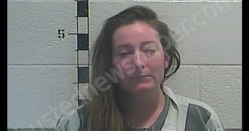 NICOLE LEIGH DANKANICH | 2018-11-11 07:33:00 Shelby County, Kentucky Booking