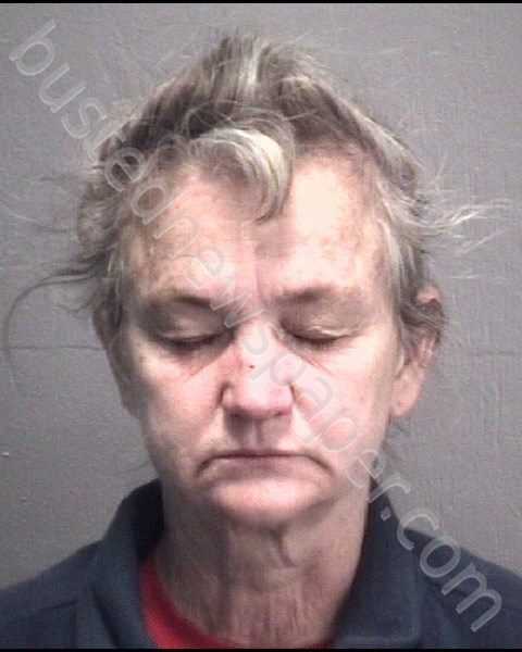 JACOBSON, CHRISTINE LYNN #, New Hanover County, North Carolina - 2018-11-11