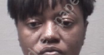 BATTS, SHANTE RENEE | 2018-11-11 New Hanover County, North Carolina Booking