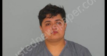 HERNANDEZ, SABRINA | 2018-11-11 Andrews County, Texas Booking