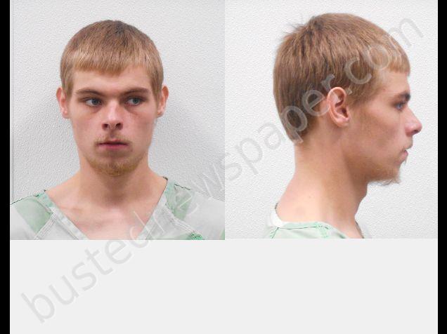 ROBERTS, JAMES DEVON #, Madison County, Indiana - 2018-11-12 14:48:00