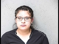 MONSALVO GUTIERREZ EVA IVETTE | 2018-11-12 Gratiot County, Michigan Booking