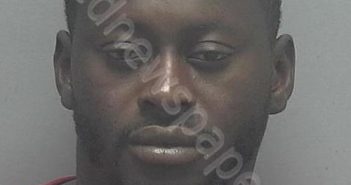 MELLIEN, GREGORY | 2018-11-12 10:46:00 Lee County, Florida Booking