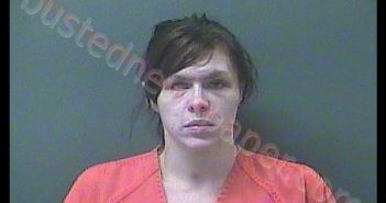 <B>JESSICA</B> R <B>NELSON</B> #, Laporte County, Indiana, La Porte County, Indiana - 2018-11-13 12:12:00