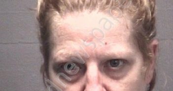 CAUSEY, MISTY CAROLINE | 2018-11-13 New Hanover County, North Carolina Booking