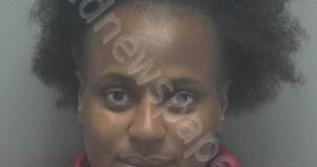 WILLIAMS, LADEIDRE LASHAY | 2018-11-13 14:08:00 Lee County, Florida Booking