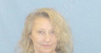 BURGESS,ROBIN | 2018-11-13 19:19:00 Pulaski County, Arkansas Booking