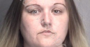 GERLITS, KAREN VALADE | 2018-11-13 New Hanover County, North Carolina Booking
