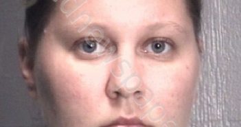 FRIES, DANIELLE ALEXANDRA | 2018-11-14 New Hanover County, North Carolina Booking