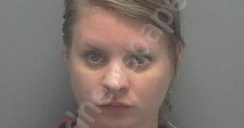 MOSIER, KATHERINE A | 2018-11-14 14:31:00 Lee County, Florida Booking